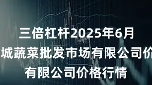 三倍杠杆2025年6月17日运城蔬菜批发市场有限公司价格行情