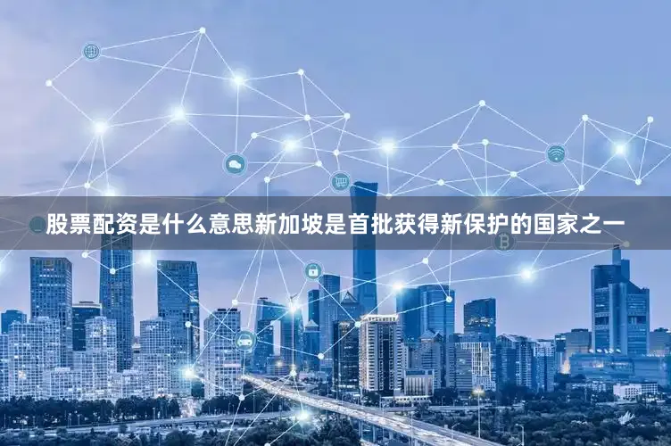 股票配资是什么意思新加坡是首批获得新保护的国家之一