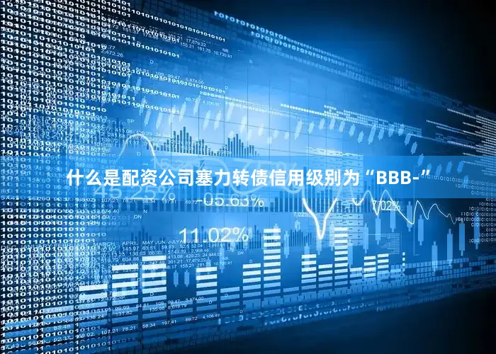 什么是配资公司塞力转债信用级别为“BBB-”