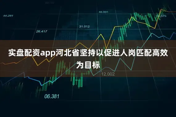 实盘配资app河北省坚持以促进人岗匹配高效为目标