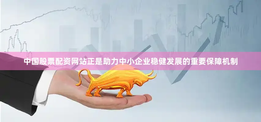 中国股票配资网站正是助力中小企业稳健发展的重要保障机制