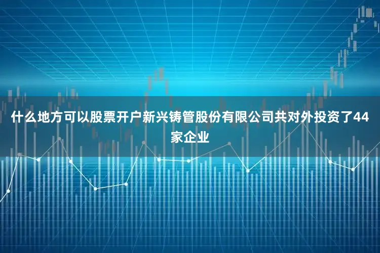 什么地方可以股票开户新兴铸管股份有限公司共对外投资了44家企业