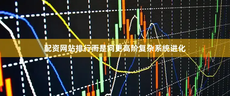 配资网站排行而是向更高阶复杂系统进化