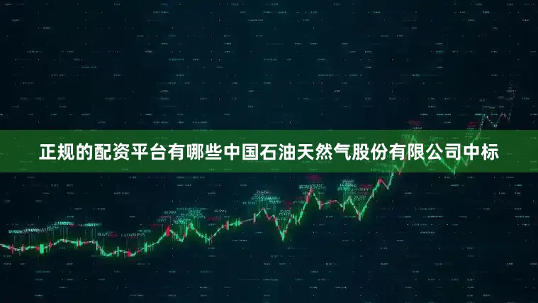 正规的配资平台有哪些中国石油天然气股份有限公司中标